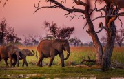 AIR CONNECT NAMIBIA WELCOMES AIR BOTSWANA CONNECTION OF WINDHOEK TO THREE DESTINATIONS IN BOTSWANA, AND DURBAN